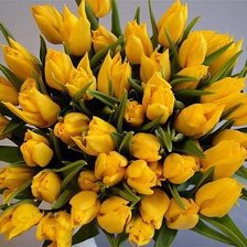 Схема вышивки «Желтые тюльпаны»