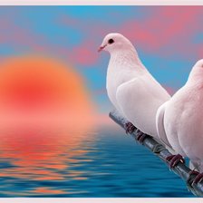 Схема вышивки «Голуби»