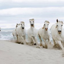 Схема вышивки «Лошади»