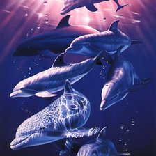 Схема вышивки «Дельфины»