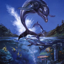 Дельфин