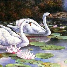 Схема вышивки «пара лебедей»