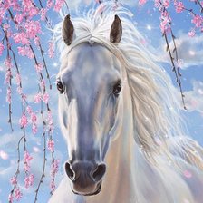 Схема вышивки «Белая лошадь»