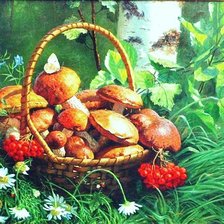 Схема вышивки «дары леса»