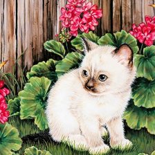 Схема вышивки «котенок в цветах»