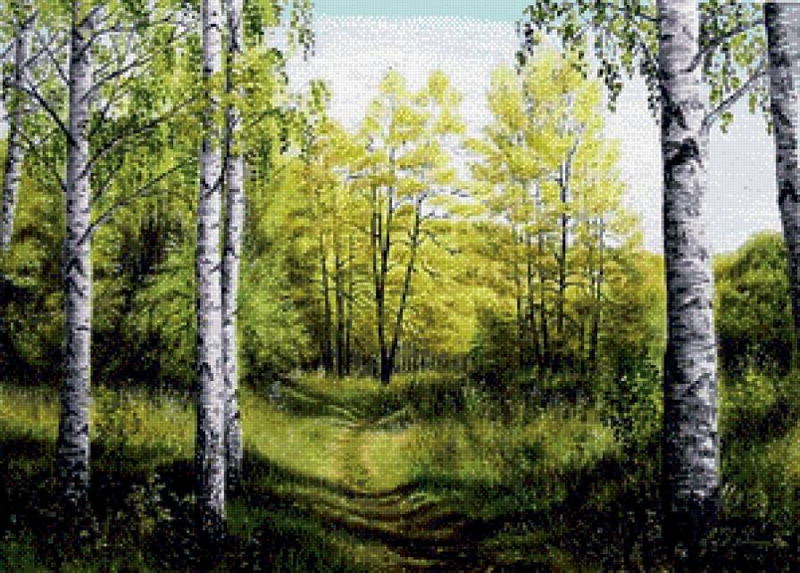 березовая роща - березы, природа, деревья, пейзаж, лес - предпросмотр