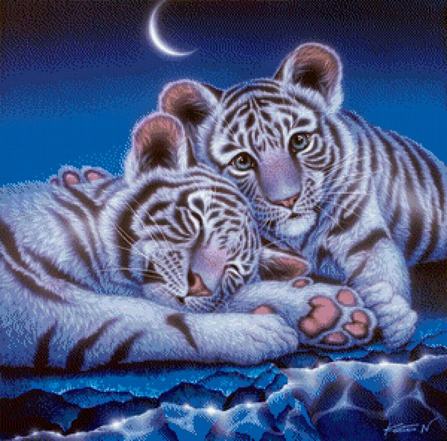 хищные кошки - предпросмотр