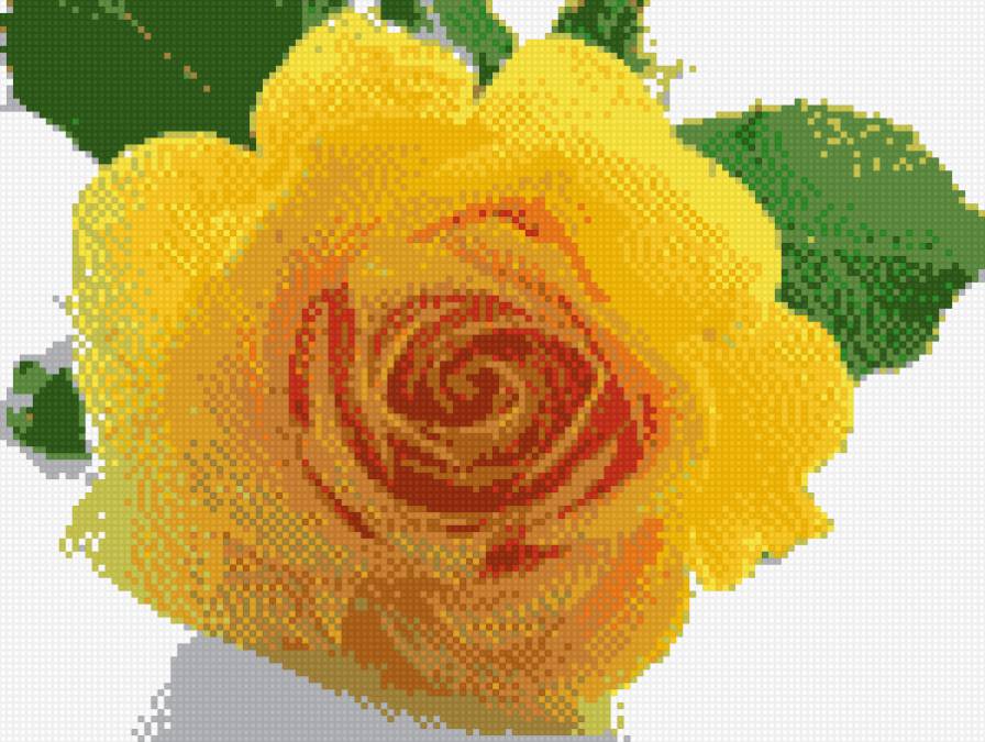 желтая роза - роза цветы - предпросмотр