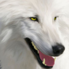 Схема вышивки «белый клык»