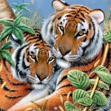 Схема вышивки «№556135»