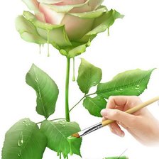 Схема вышивки «роза»