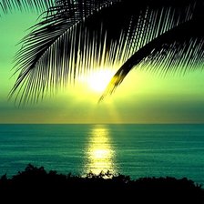 Схема вышивки «природа»