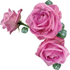 Схема вышивки «уголок розы»