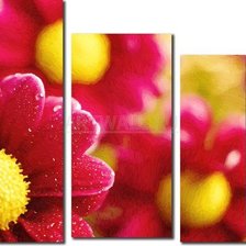 Схема вышивки «№556227»