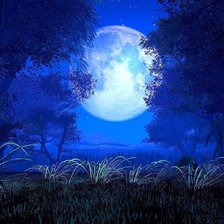 Схема вышивки «Ночь»