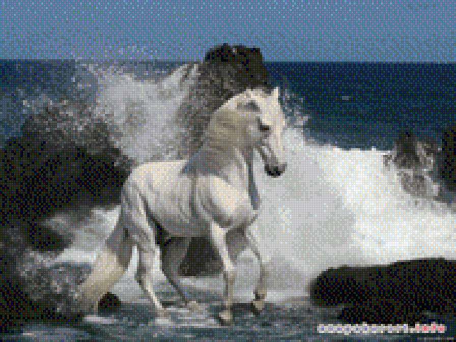 мустанг - мустанг, кони - предпросмотр