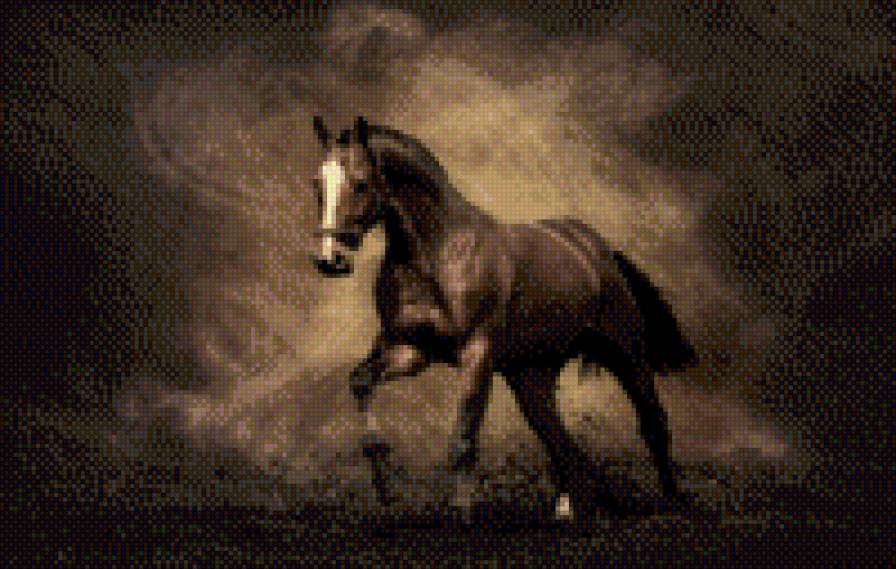 Рысью - мустанг, кони - предпросмотр