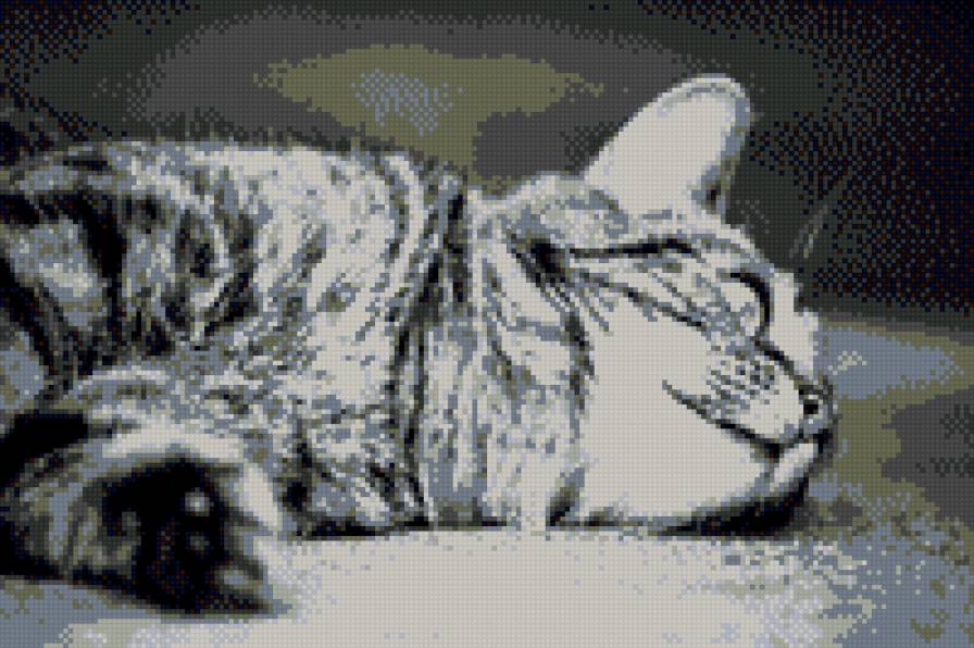 котенок - кошки, животные - предпросмотр