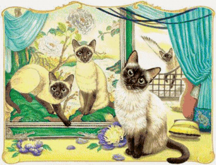 любопытство - котики - предпросмотр