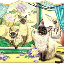 Схема вышивки «любопытство»