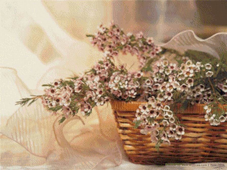 Корзина с цветами - лето, цветы, нежно, окно - предпросмотр