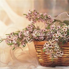 Схема вышивки «Корзина с цветами»