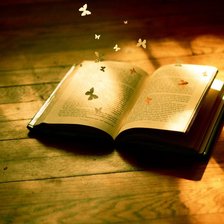 Схема вышивки «книга чудес»