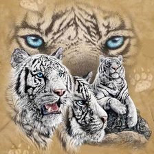 Схема вышивки «белый тигр»