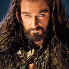 Схема вышивки «Торин»