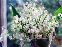 Схема вышивки «№556774»