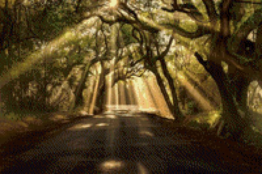 Про свет в чаще - предпросмотр