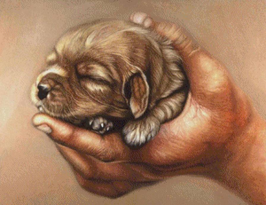 Щенок - щенок, собака - предпросмотр