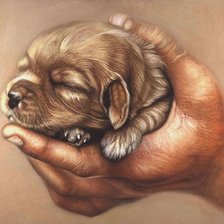 Схема вышивки «Щенок»