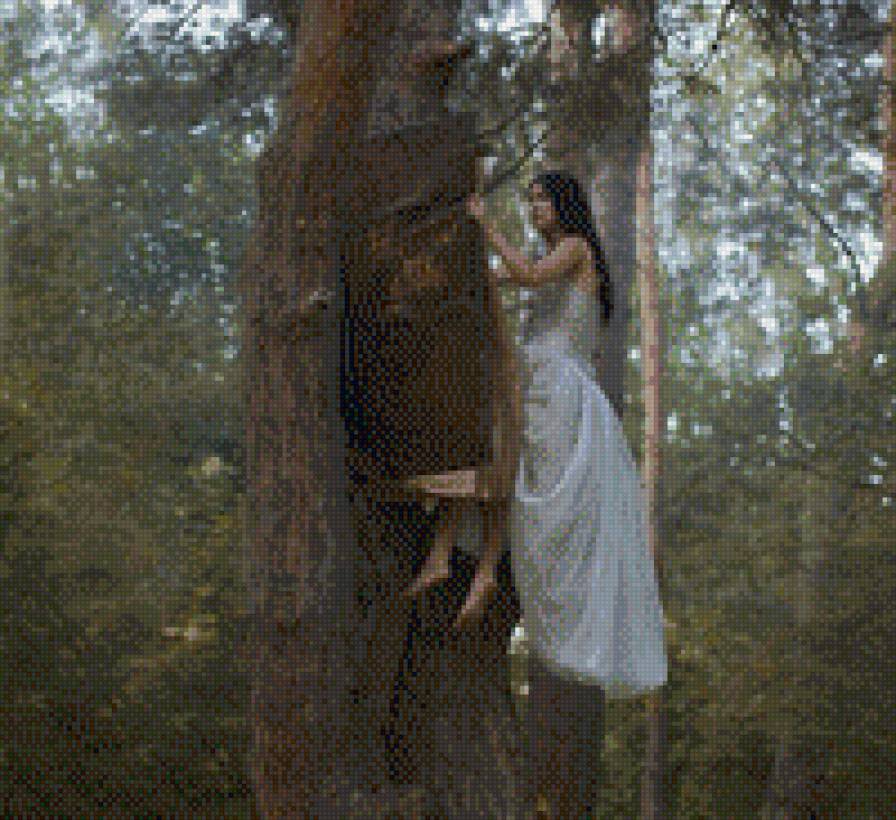 Мир книги - предпросмотр