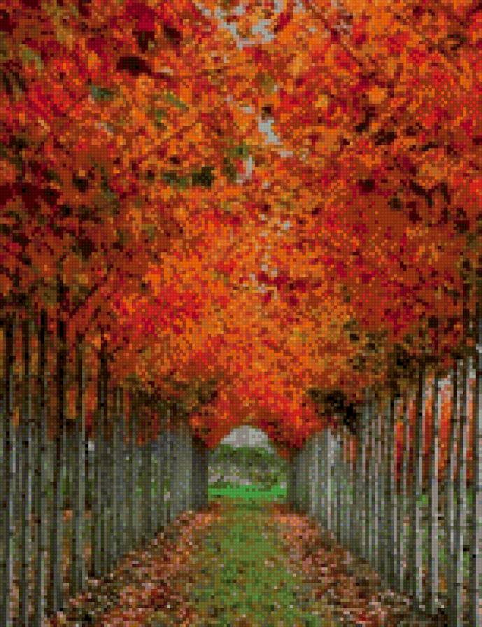 Осенняя тропа - предпросмотр