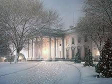 Схема вышивки «№556973»