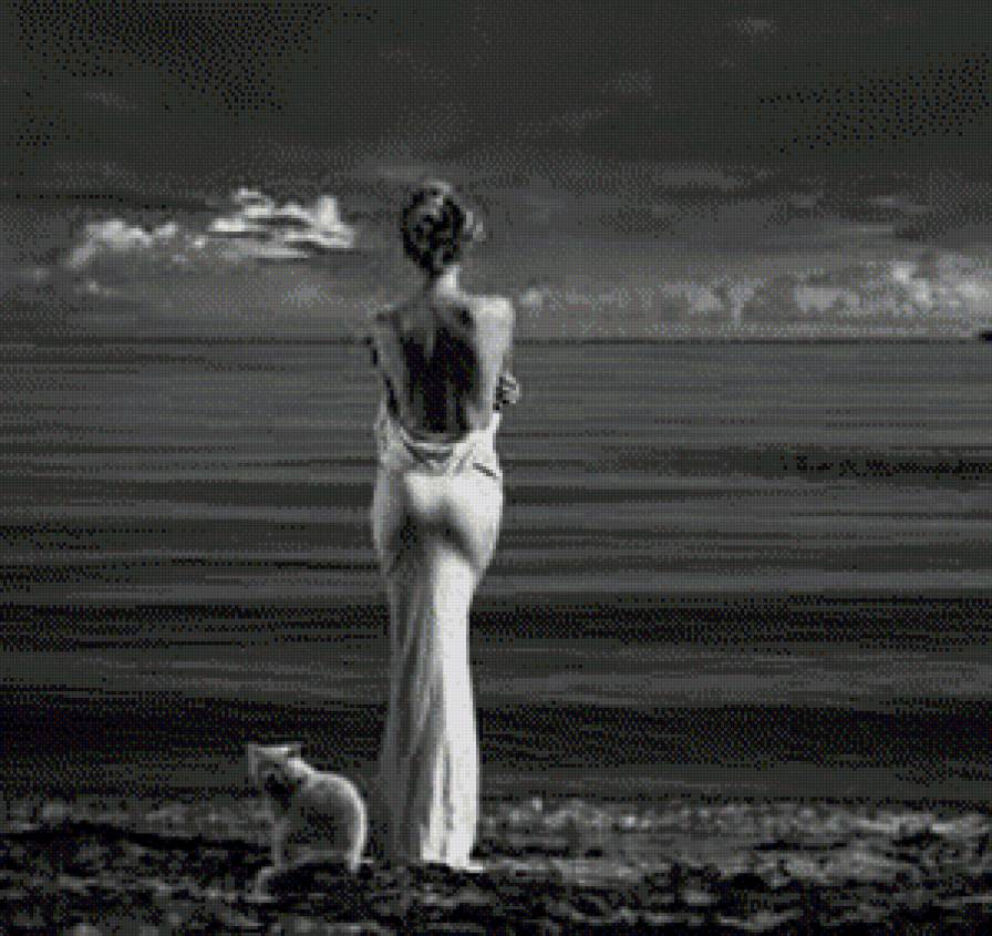 №557041 - красота, монохром, кот, девушка, море, вечер, люди - предпросмотр