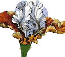 Схема вышивки «№557072»