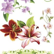 Схема вышивки «№557105»