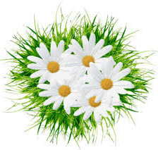 Схема вышивки «№557113»