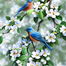 Схема вышивки «Цветы и птицы-2»