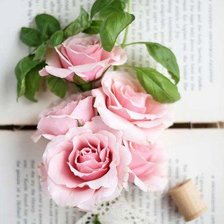 Схема вышивки «№557218»