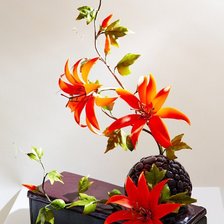 Схема вышивки «№557227»