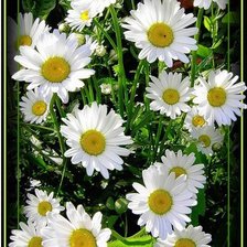 Схема вышивки «№557232»