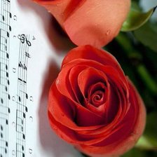 Схема вышивки «№557248»