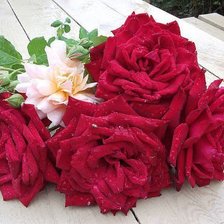 Схема вышивки «№557254»