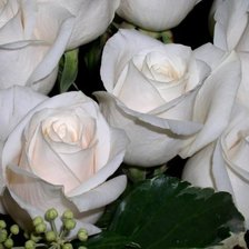 Схема вышивки «№557265»