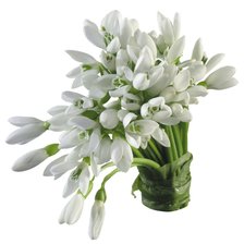 Схема вышивки «Букет цветов»