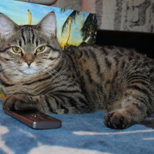 Схема вышивки «Мюррей 2»