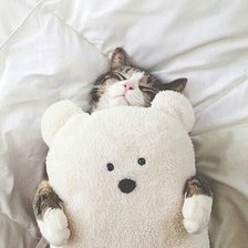 Схема вышивки «кот»